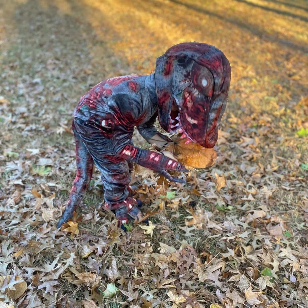 Kids Zombie Dinosaur Costume size 5/6